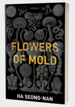 The Character’s Problem Should not be the Story’s Problem: Flowers of Mold by Ha Seong-nan