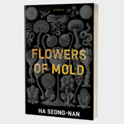 The Character’s Problem Should not be the Story’s Problem: Flowers of Mold by Ha Seong-nan