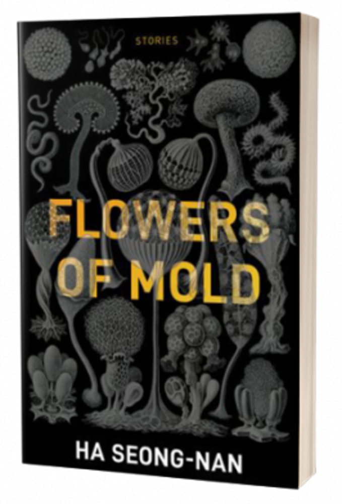 The Character’s Problem Should not be the Story’s Problem: Flowers of Mold by Ha Seong-nan